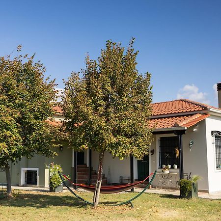 The Hobbit Hole Villa Trikala  Exterior photo